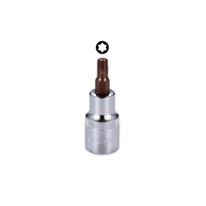 Dado Punta Torx T25 Crossman (cuadro 1/2)
