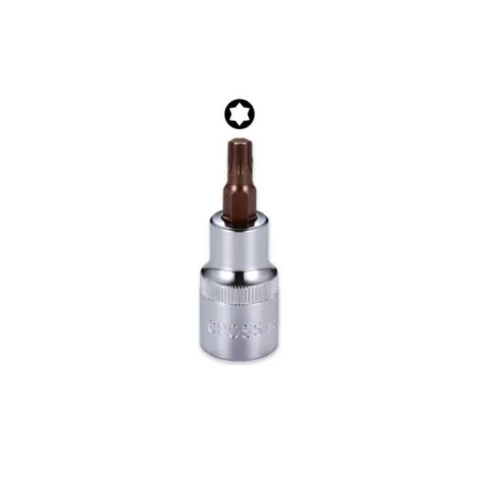 Dado Punta Torx T30 Crossman (cuadro 1/2)